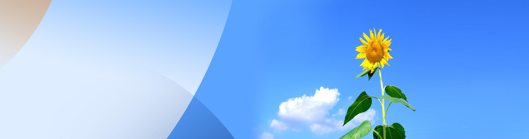 SMIC-Air Pollution Prevention and Control